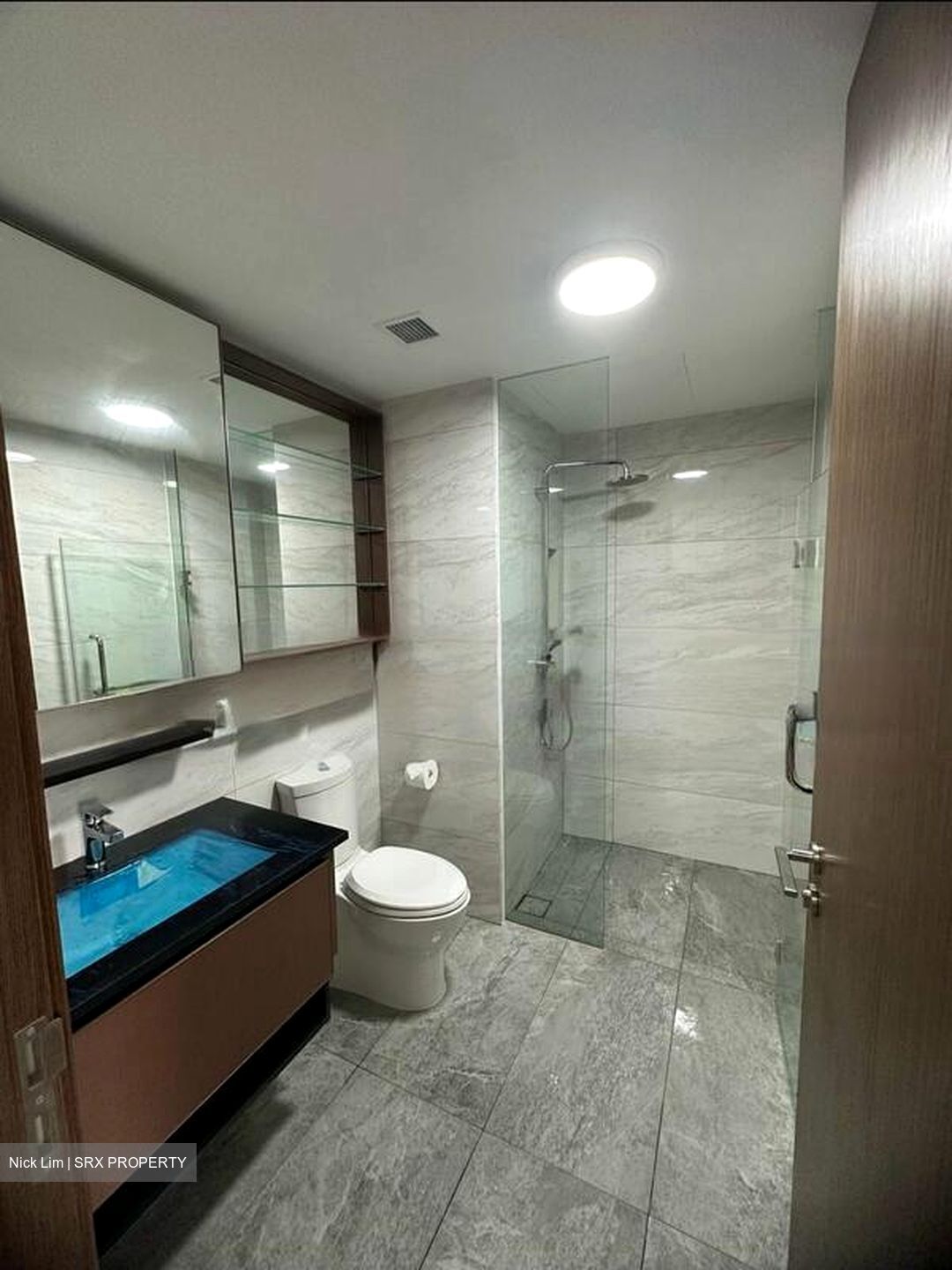 Normanton Park (D5), Apartment #479913621